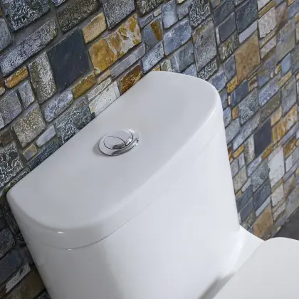 Bồn cầu nguyên khối Hwata 101