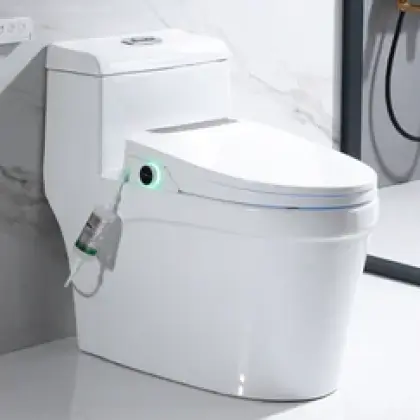 Bồn Cầu Nguyên Khối Hwata HT-V001