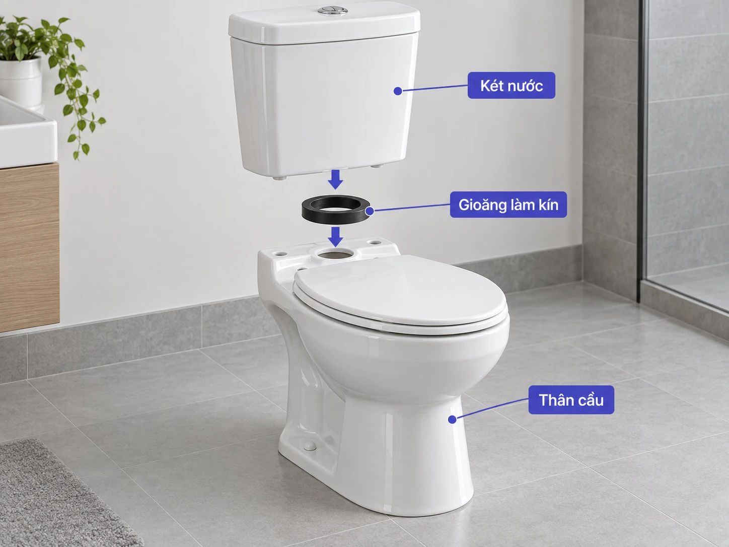 cấu tạo bồn cầu 2 khối két nước gioăng và thân cầu